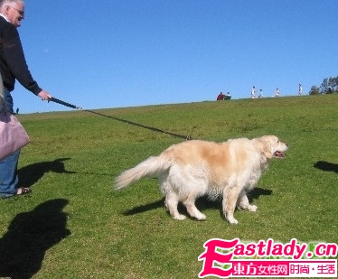 做好6件事 不費力氣減肥