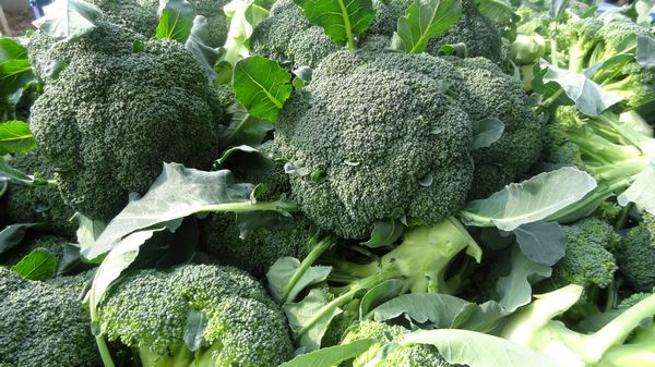 如何瘦肚子  炫腹季 這些食物來幫你