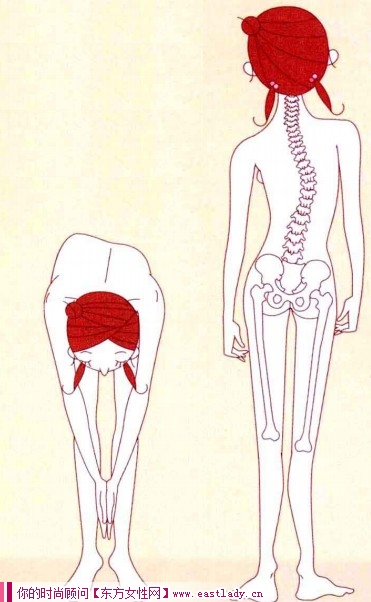 兩種簡易檢查脊推側(cè)彎方法