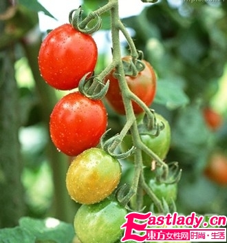 擺脫大象腿的7大蔬果