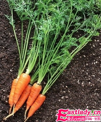 最有效瘦臉的5大食物