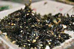 減肥食品有哪些 最佳減肥食物大盤(pán)點(diǎn)