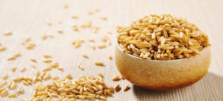 越吃越瘦的10種雜糧 讓你變美不再是夢