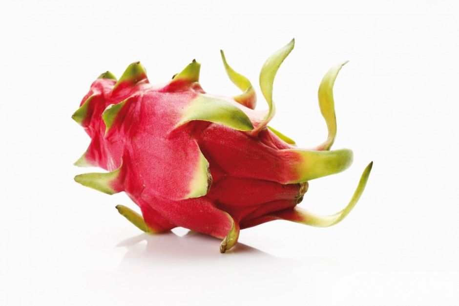 一日三餐減肥食譜推薦 史上最健康的減肥方法