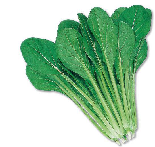 春季吃什么蔬菜可以減肥又美容