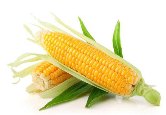 越吃越瘦的10種雜糧 讓你變美不再是夢