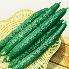 減肥食譜必不可少的兩種食物