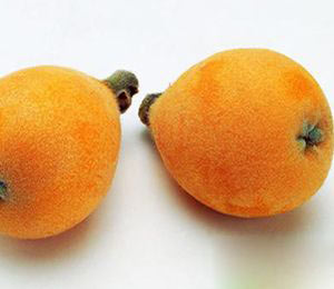 枇杷很有效的減肥果品