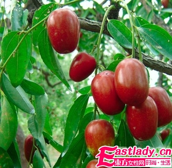 苗條身材 冬季減肥的食物大全