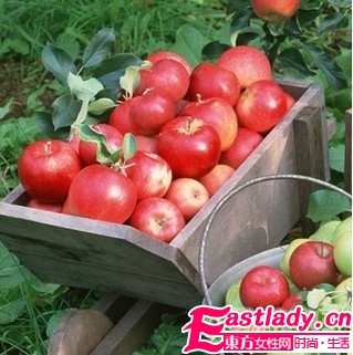 減肥有效的食物排行榜