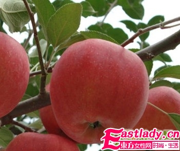 讓你狂吃不胖的11種食物