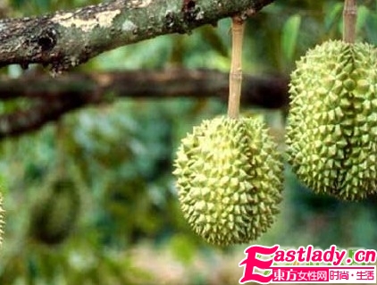 5大怪味食物 減肥有奇效