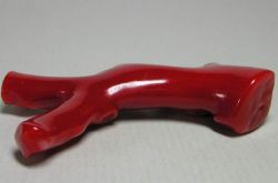 紅珊瑚的5大作用 7個小技巧鑒別真假紅珊瑚