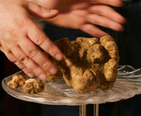 如此奢侈品 你肯為他們買單么