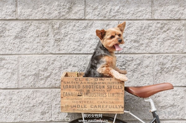 2013年8月份歐美街拍第八季