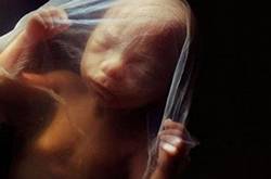 胎兒幾周入盆 胎兒發(fā)育標(biāo)準(zhǔn)表