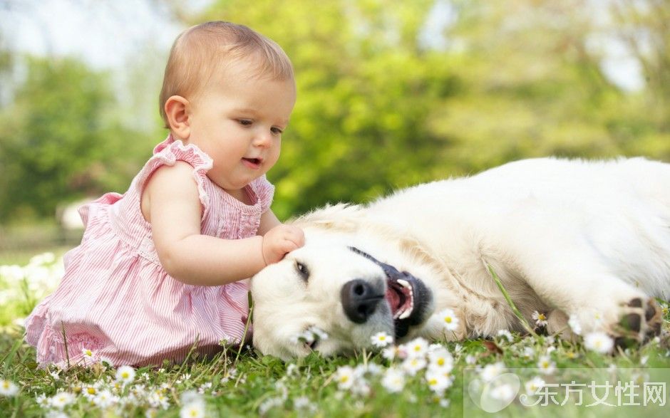 孩子貧血有什么癥狀  孩子貧血就吃這八種食物