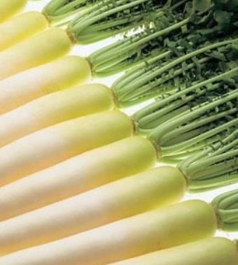 秋季健康飲食 秋季飲食的九大養(yǎng)生常識