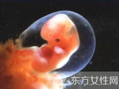 胎兒缺氧該怎么辦 胎兒缺氧的4大預防方法需做好