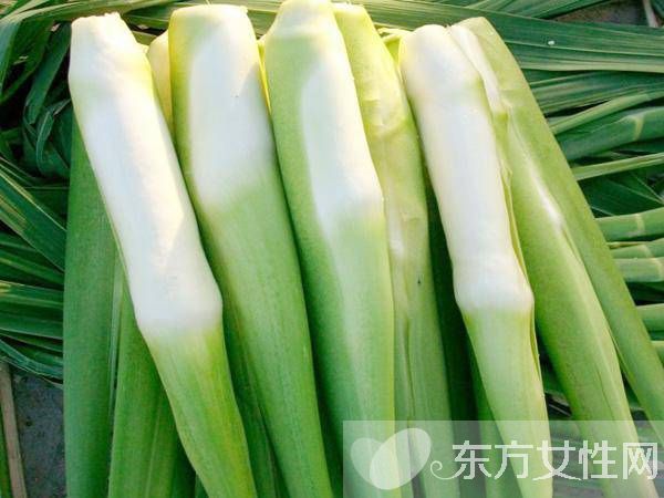 哺乳期下奶食譜推薦 這些食物對下奶很有幫助哦