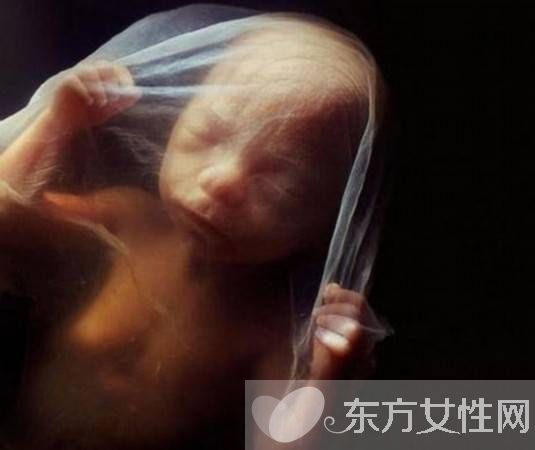 胎兒幾周入盆 胎兒發(fā)育標準表