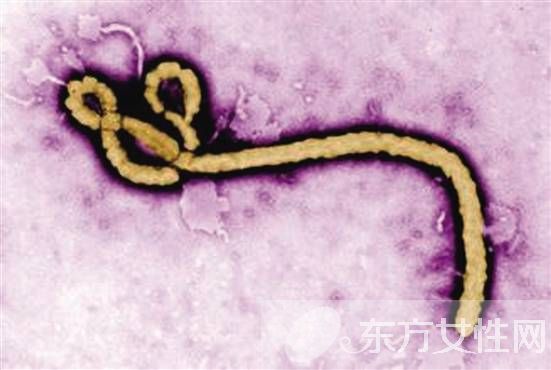 輪狀病毒疫苗什么時候接種 輪狀病毒疫苗的接種注意事項