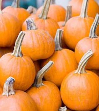 春天流行病的預(yù)防 溫暖春天謹(jǐn)防五類疾病