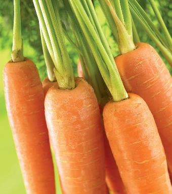 春季寶寶要注意的飲食 六個禁忌定要牢記