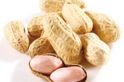 產(chǎn)婦吃什么東西能下奶 最佳催乳食品大全推薦