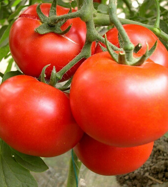 天天飲食 盤點十種最好的兒童食品