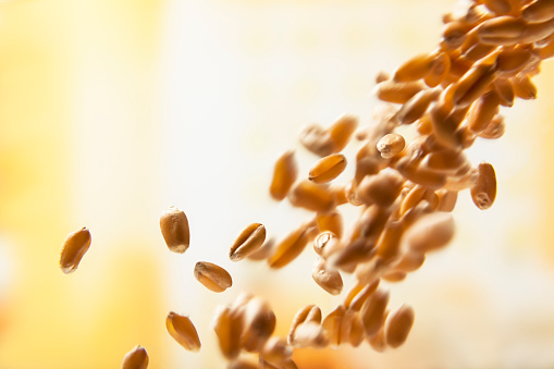 回奶的食物有哪些  母乳喂養(yǎng)回奶食譜分享