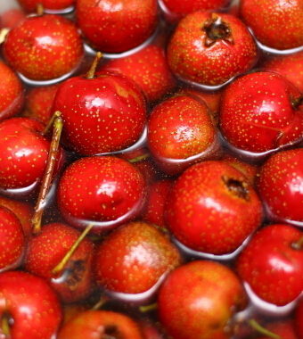 兒童減肥食譜 肥胖兒童吃什么減肥