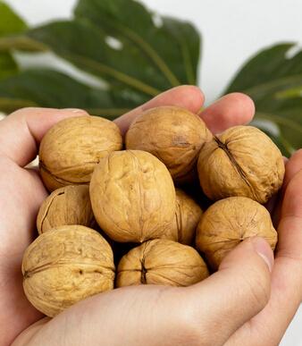 止咳化痰偏方 寶寶止咳化痰食療菜譜