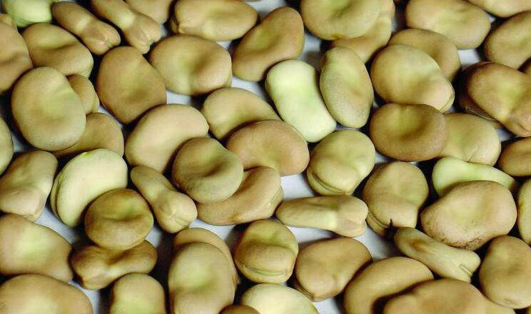 5種最坑娃的食物 千萬(wàn)不要給寶寶吃