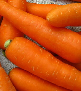 胡蘿卜的功效與作用 有助于寶寶健康成長