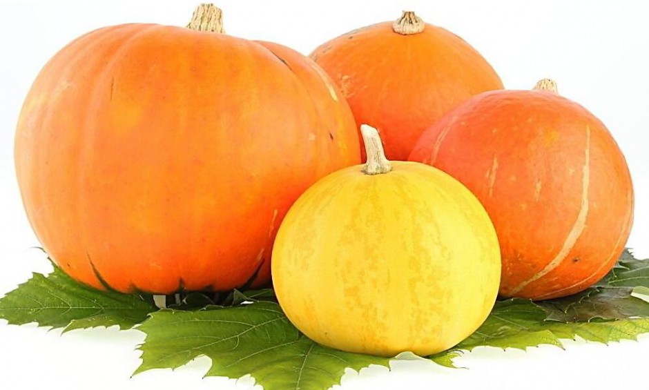 5種最坑娃的食物 千萬(wàn)不要給寶寶吃