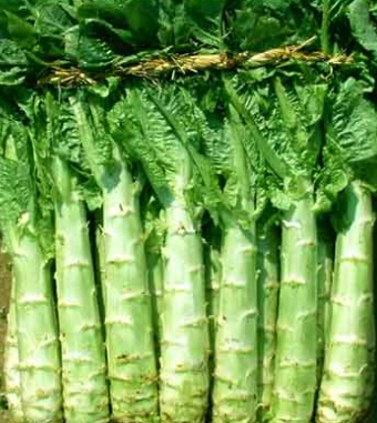 秋季健康飲食 秋季飲食的九大養(yǎng)生常識