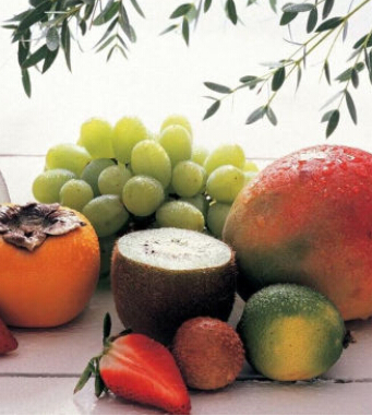 秋季健康飲食 教您如何健康合理飲食