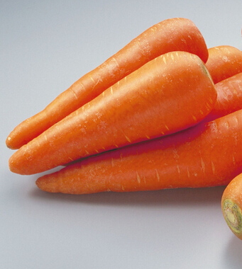 胡蘿卜的功效與作用 有助于寶寶健康成長