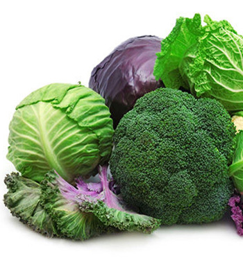 食療藥膳  哪些食物可以提高小孩的免疫力