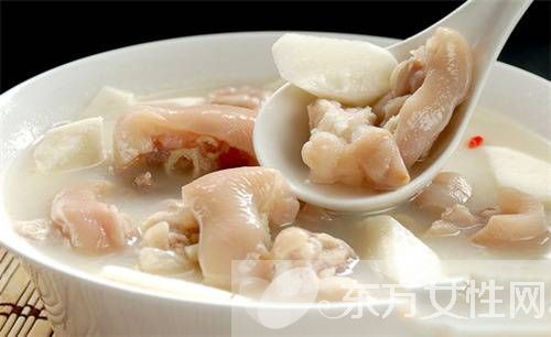 下奶豬蹄湯的做法 這些做法每天可以換著吃哦