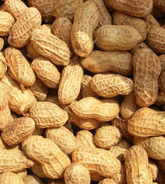 咳嗽怎么辦 兒童咳嗽有哪些飲食禁忌