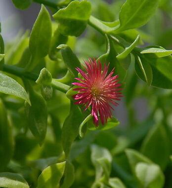 冬季養(yǎng)生 冬季幼兒保健五大注意