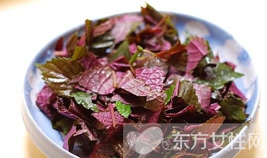 小兒止咳化痰偏方推薦 誰(shuí)說(shuō)生病需要打針吃藥的呀