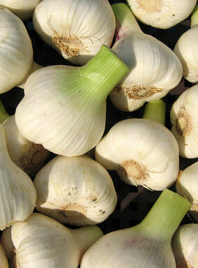 寶寶不愛吃飯?jiān)趺崔k 營(yíng)養(yǎng)增食欲餐是首選