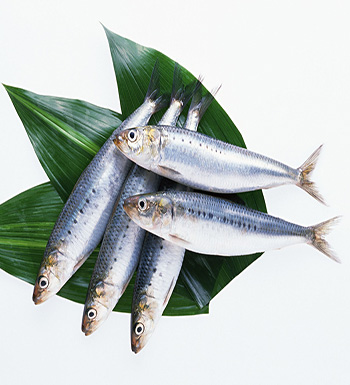 小孩吃什么可長高  千萬不能讓小孩吃的食物