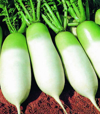 孕婦食譜 有助孕婦開胃又保胎的食譜