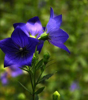 旅游攻略 夏日準媽媽去旅游的注意事項