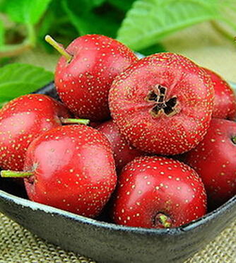 孕婦飲食禁忌 孕婦為何不能吃熱性水果