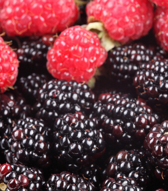 產(chǎn)后恢復(fù) 幾種產(chǎn)后補血食材不容小覷